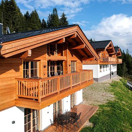 Skyberg Chalet Muhlbach Am Hochkonig Luaran gambar